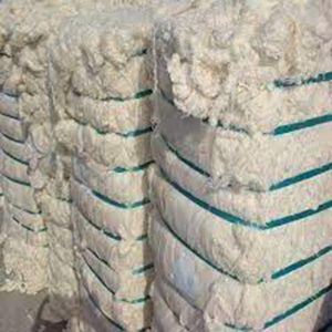coton stocké