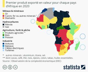 L’Afrique perd entre 50 et 100 milliards de dollars par an dans le trafic illicite de ses ressources