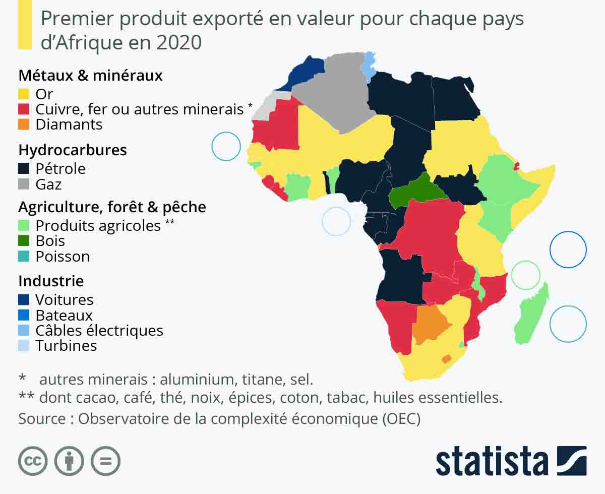 L’Afrique perd entre 50 et 100 milliards de dollars par an dans le trafic illicite de ses ressources