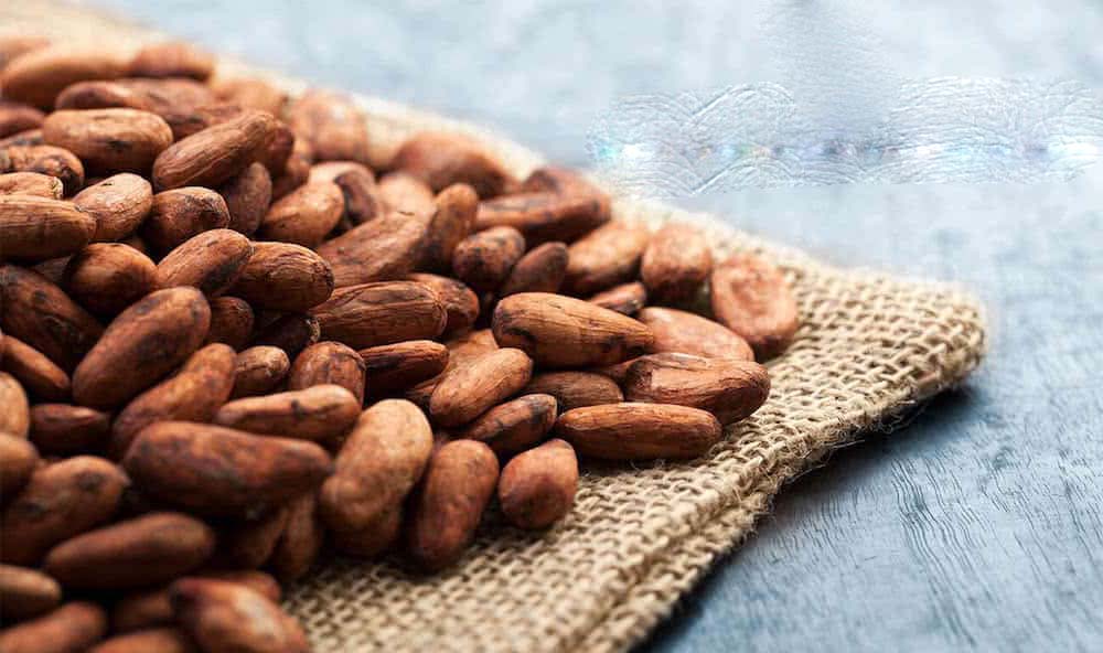 feves de cacao