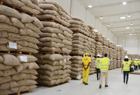 Café : plus de 41.000 tonnes de produites au Cameroun lors de la campagne 2023-2024