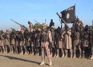 Cinq membres de groupes d’autodéfense blessés dans une attaque de Boko Haram au Cameroun