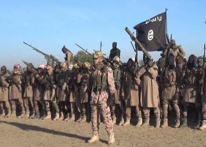 Cinq membres de groupes d’autodéfense blessés dans une attaque de Boko Haram au Cameroun