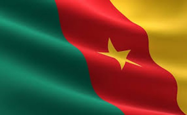 drapeau du Cameroun