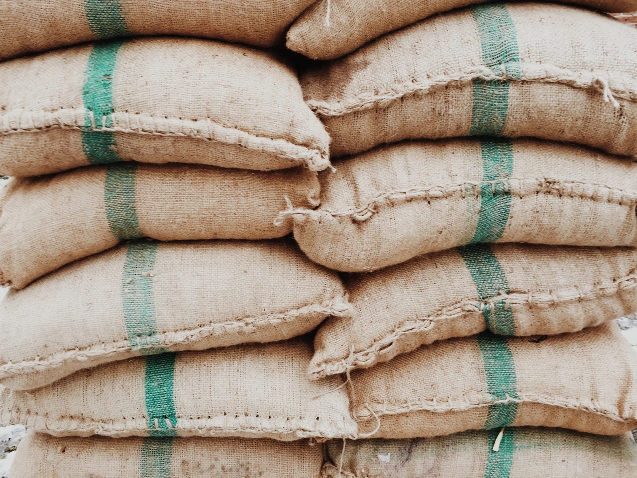 sacs de cacao